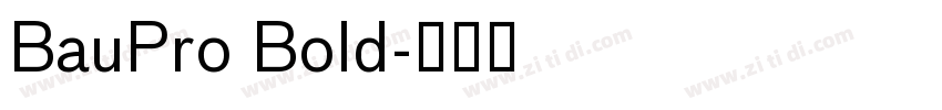 BauPro Bold字体转换